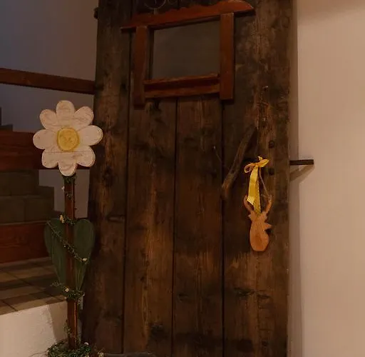 招待所 豪斯中央酒店 *