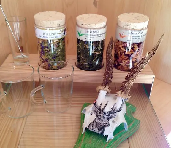 豪斯中央酒店 招待所 *